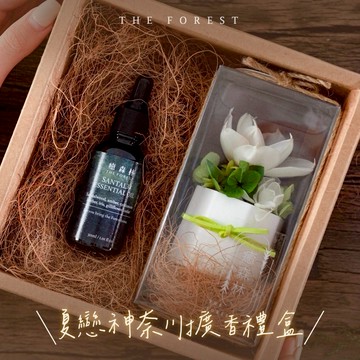 收禮人自選香氣🌴快速出貨【癒森林】香氛油×擴香花  香氛1+1雙享禮盒  獅子座生日禮物