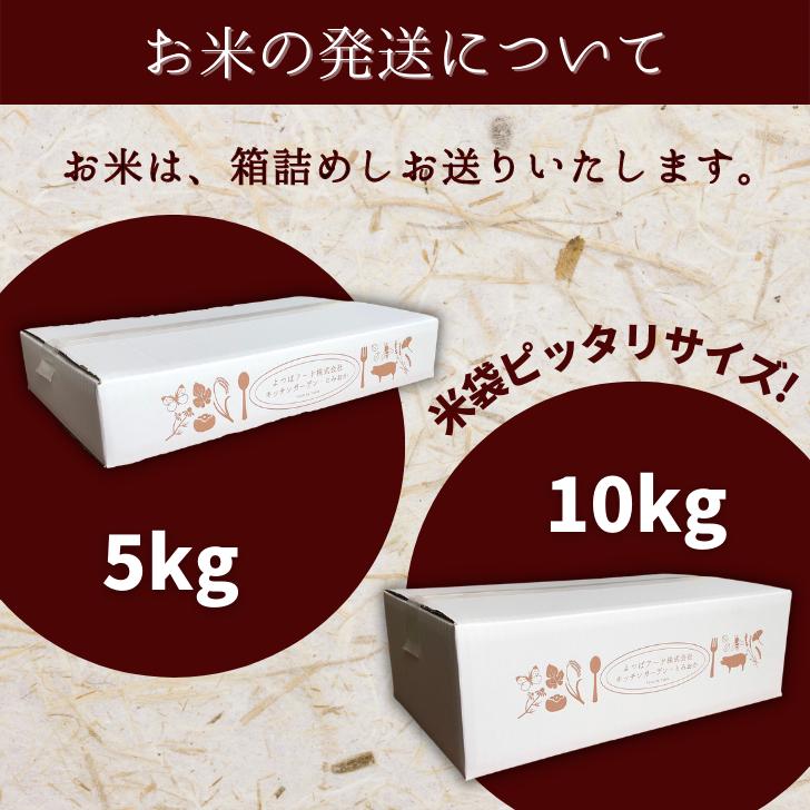 新米 5年産 新潟産 こしいぶき 10kg 5kg×2袋 受注精米 お歳暮 冷めてもおいしい 新潟県産 米 白米 精米 減農薬 農家 直送 生産者 備蓄 ギフト 内祝