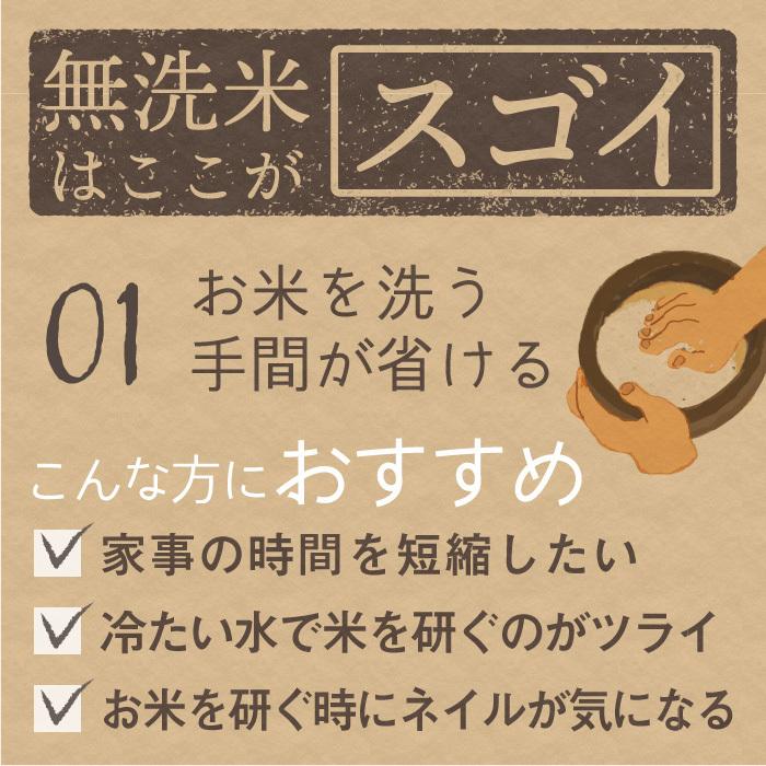 無洗米 新潟県産 コシヒカリ 特別栽培米 2kg 令和5年産 新米 こしひかり 2キロ 農家直送 減農薬