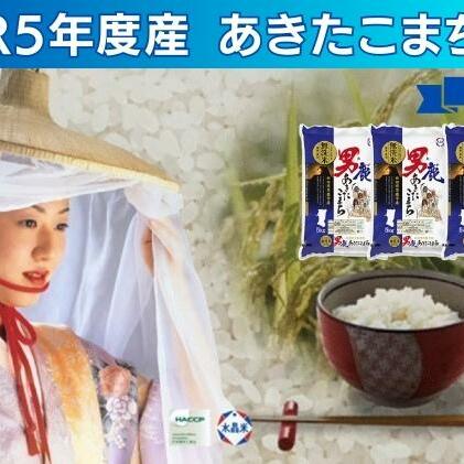 無洗米 令和5年産 あきたこまち 20kg 5kg×4袋 秋田県 男鹿市 秋田食糧卸販売