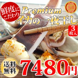 敬老の日 ギフト 送料無料 特大 肉厚 国産 いか の 一夜干し (約300g) 3枚 セット 無添加 塩イカ 汐イカ 干物  お取り寄せ グルメ 食べ物