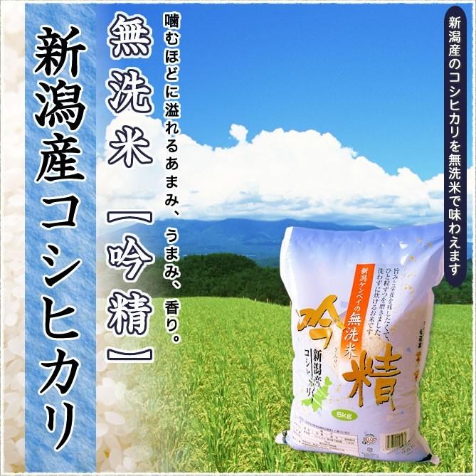 新米 令和5年産 無洗米 5kg 新潟県産コシヒカリ 吟精 送料無料 （北海道、九州、沖縄除く）