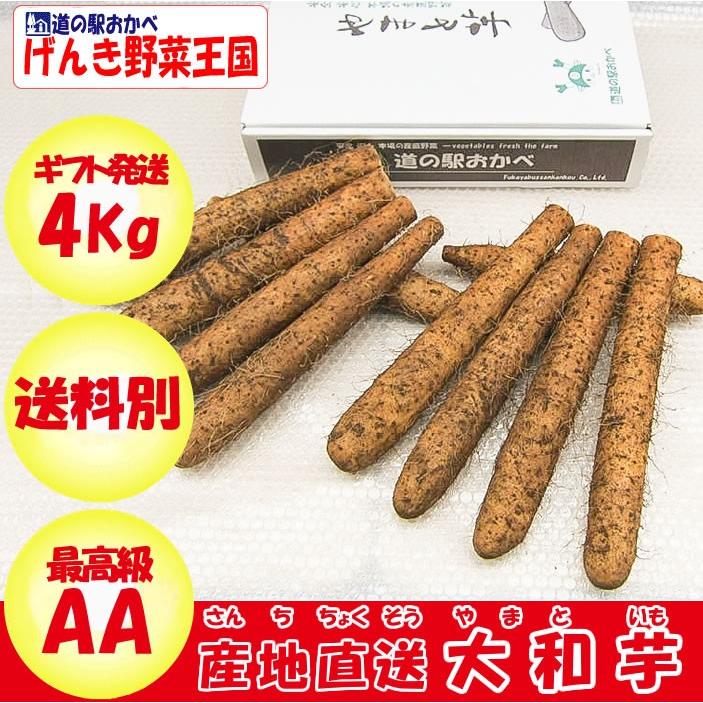 ヤマトイモ 4Kg AA品 最高級 化粧箱入り 贈答用