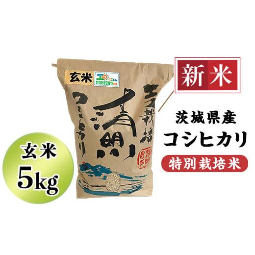 ふるさと納税 茨城県 阿見町 20-20茨城県産コシヒカリ特別栽培米5kg（玄米）