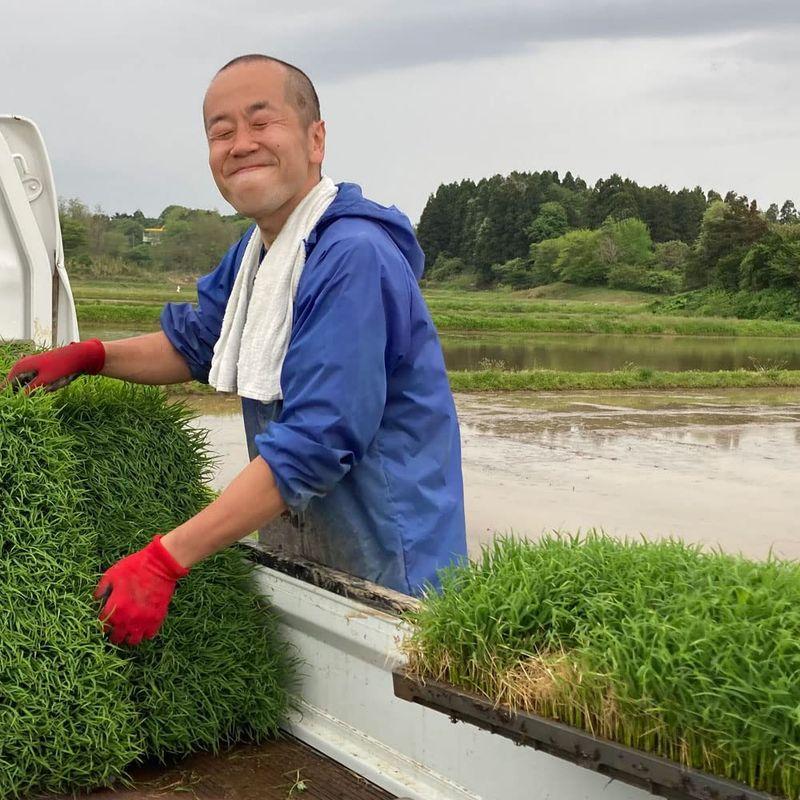 水菜土農園精米新米 北海道県産 ななつぼし 30kg (5kg×6袋) 令和4年産 古代米お試し袋付き