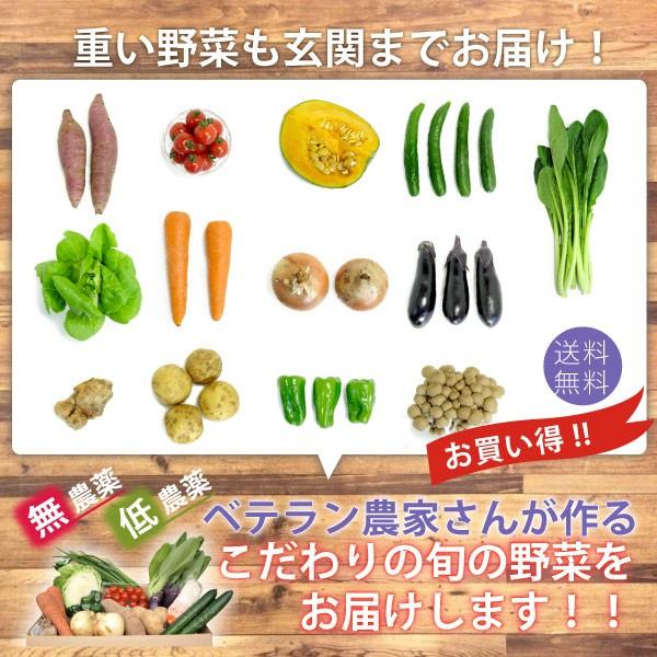 旬の野菜　お買い得 野菜 野菜セット 無農薬 低農薬 13品目 こだわり野菜セット 送料込　旬 ギフト 贈り物 プレゼント お取り寄せ お中元 お歳暮