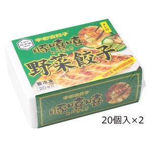 野菜餃子 20個入2箱 栃木 餃子 惣菜 中華 宇都宮餃子とんきっき