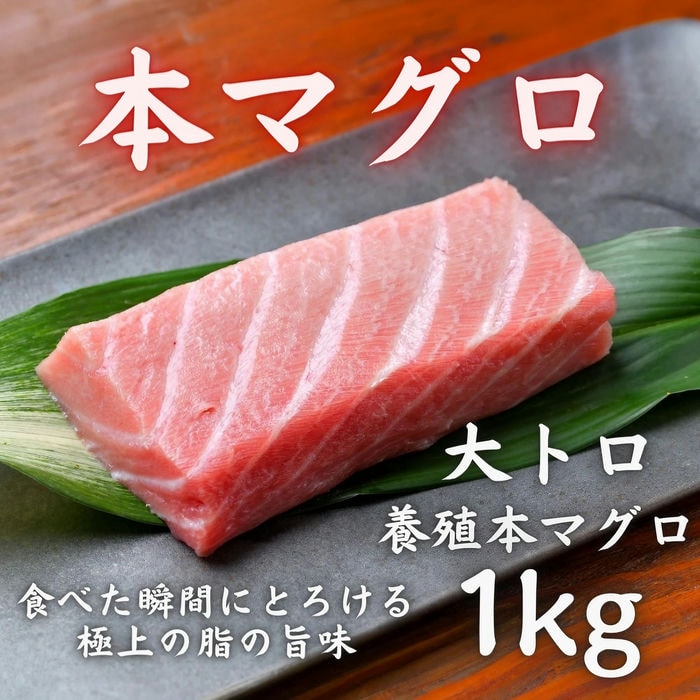 本マグロ 大トロ 1kg