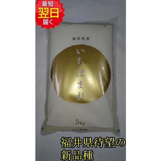 福井県　減農薬　いちほまれ　白米または玄米　5kg　送料無料　※北海道、沖縄はプラス送料かかります。