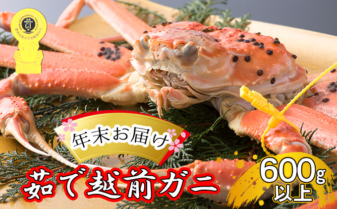 茹で越前ガニ食通もうなる本場の味をぜひ、ご堪能ください。約600g以上×1杯 越前がに 越前かに 越前カニ ずわいがに ズワイガニ 蟹 かに カニ ボイルガニ