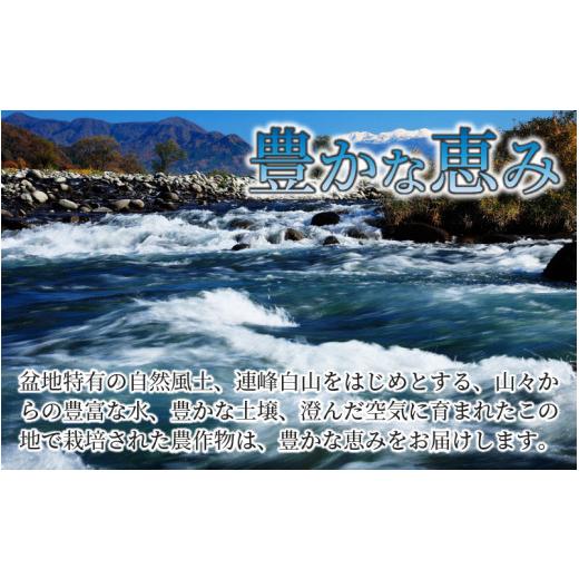 ふるさと納税 福井県 勝山市 『定期便』 令和5年産 新米 勝山のお米コシヒカリ5kg 全12回 [J-010020]