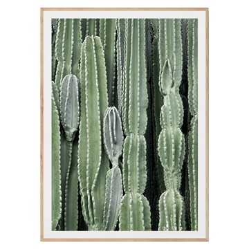 叢叢多肉小鮮綠II 木本 1人  40 x 30cm  木色