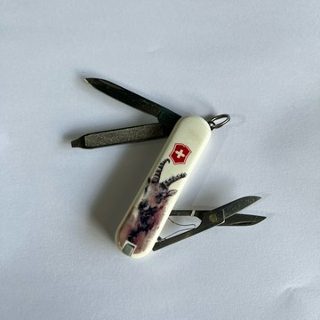 [沐沐屋］victorinox 維氏 經典七用 58mm 2016年限量印花 山羊 0.6223.L1610