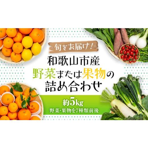 ふるさと納税 和歌山県 和歌山市 旬をお届け！和歌山市産・野菜または果物の詰め合わせ