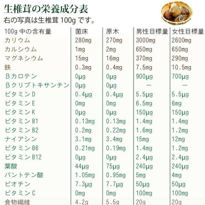 原木生シイタケ 100g 国産 無農薬・無化学肥料 椎茸