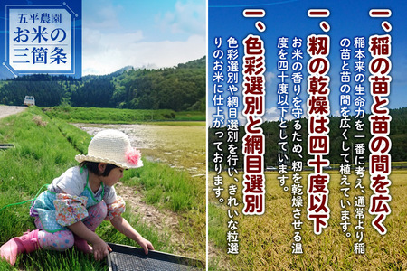  コシヒカリ 令和5年産 秋田県産 北国秋田のコシヒカリ 5kg