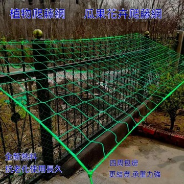 免運💒臺灣熱銷🐬爬藤網植物爬藤網百香果黃瓜葡萄豆角吊瓜苦瓜絲瓜爬藤網瓜網