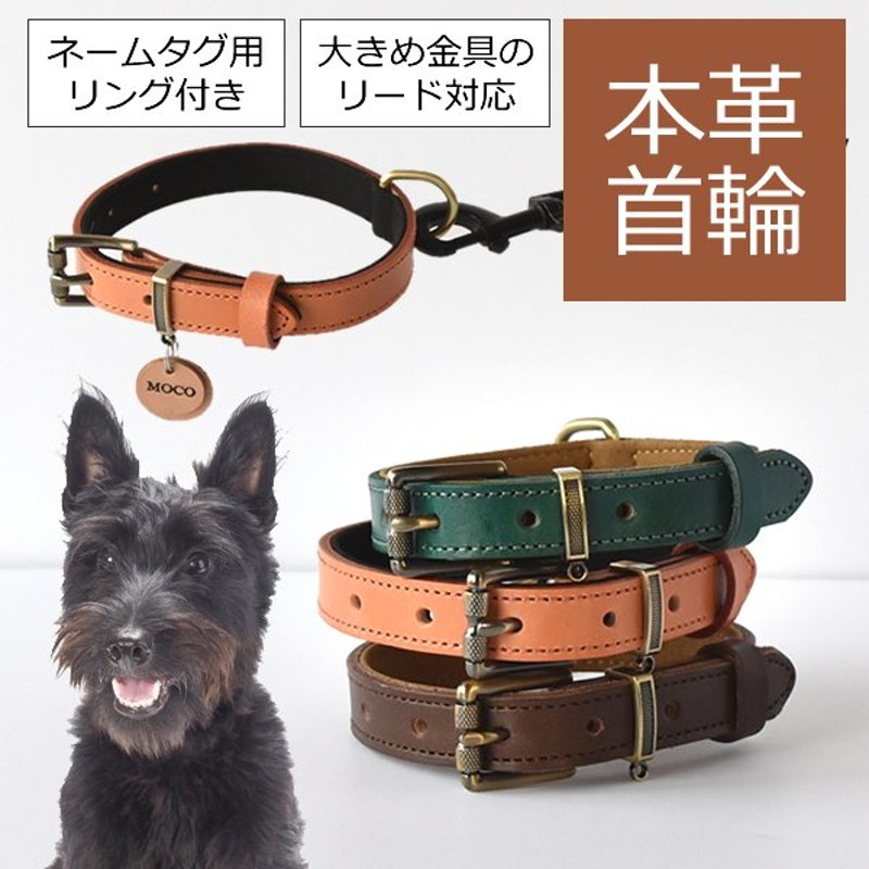 首輪 犬 革 ドッグカラー レザー 小型犬 中型犬 本革 おしゃれ 通販 LINEポイント最大0.5%GET | LINEショッピング