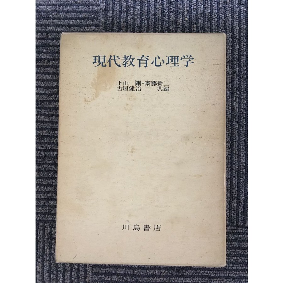 現代教育心理学（川島書店）