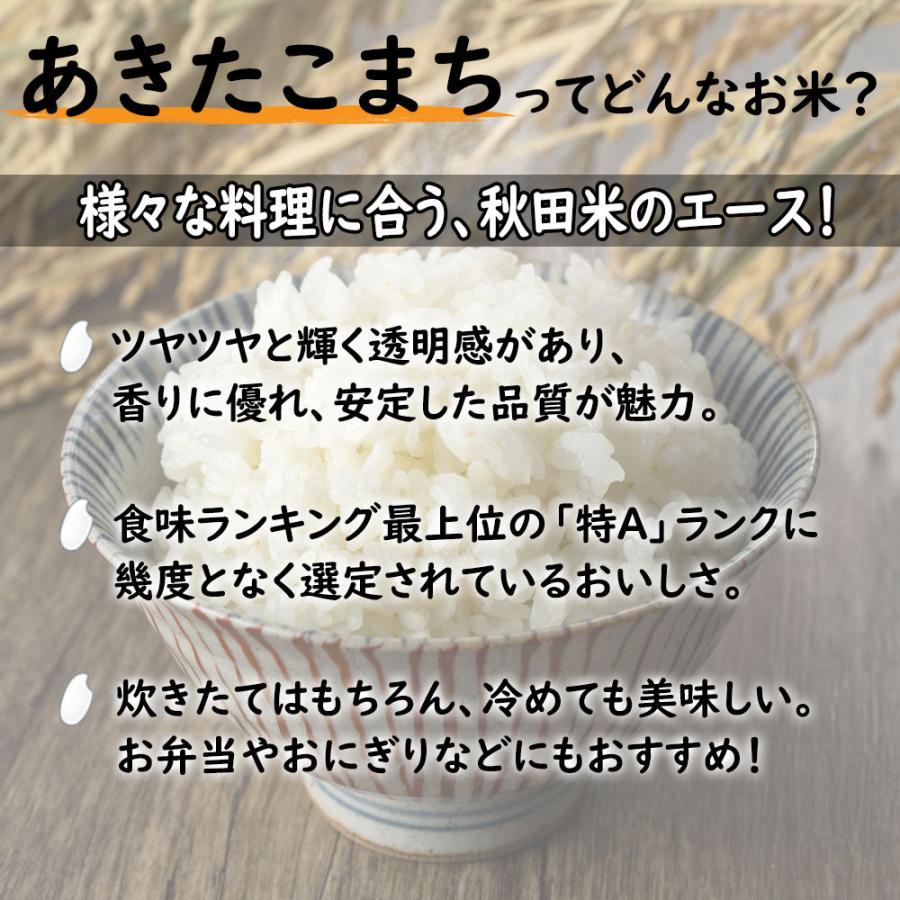 新米 米 お米 15kg （5kg×3袋） あきたこまち 白米 精米 令和5年産 秋田県産 農家直送 古代米お試し袋付き