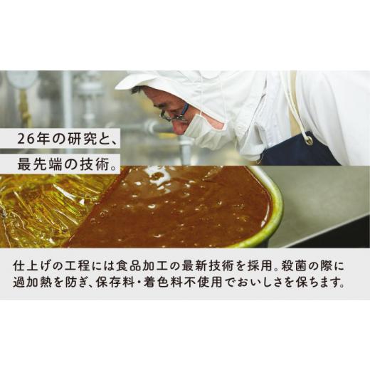 ふるさと納税 長崎県 五島市 五島の鯛で出汁をとったプレミアムな高級カレー（五島牛） 1袋 人前 レトルト 地場産品 島の食材 五島市／ごと株式会社 [PBY008…