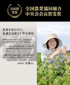 北海道産　韃靼そば「満天きらり」セット＜韃靼そば乾麺300g×2袋・韃靼そば茶100g×1袋＞