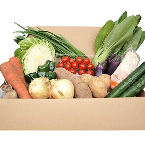 ベジタブルハート 旬の野菜 13品目こだわり野菜セット 安心な無農薬・低農薬栽培の野菜 お取り寄せ