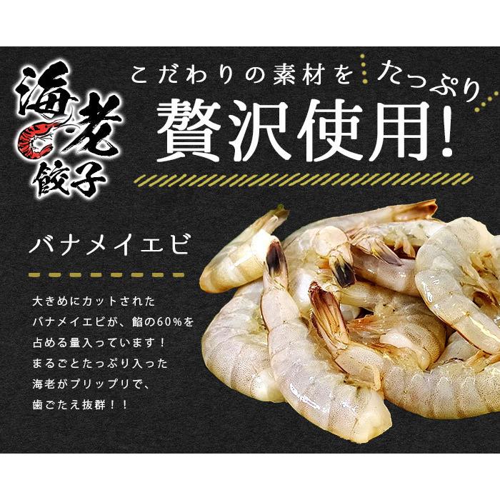 餃子 ぎょうざ ギョウザ ギョーザ gyouza 20個 50個 国産 国産豚肉 国産野菜 豚肉 海老餃子 海老 えび エビ 中華 食品 冷凍 冷凍餃子 美味しい ニンニクあり