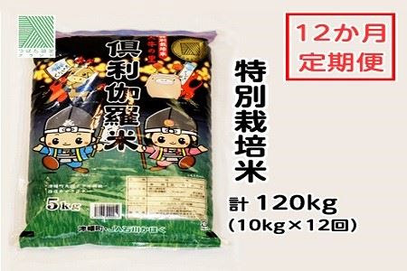 特別栽培米　火牛の里「倶利伽羅米」（１０ｋｇ）定期便１２回