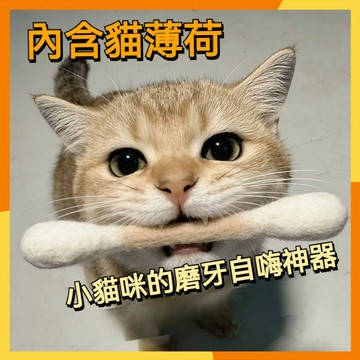 🔜現貨隔日達🔜韓國 30cm巨大棉花棒 貓咪棉花棒 逗貓棒 貓草玩具 寵物棉簽棒 逗貓玩具 踢踢包 羊毛氈棉花棒 貓玩具