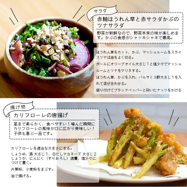 無農薬 野菜セット 農家直送 6〜8品目 安心安全 有機野菜詰め合わせ 大阪 西日本 産地直送 笑ノ百姓 笑の百姓