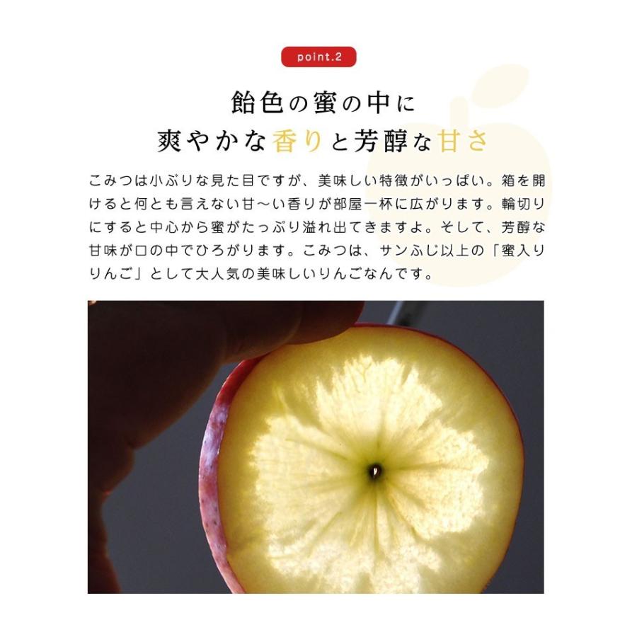 送料無料 青森県産 りんご こみつ(少し訳あり)6〜13玉 約2kg