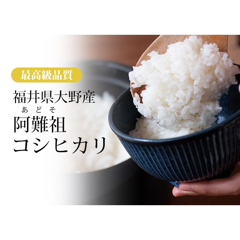 新米 米 コシヒカリ 5kg 福井県大野阿難祖産 白米 令和5年産 送料無料