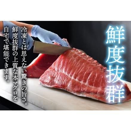 ふるさと納税 ?本マグロ　中トロ　1kg（柵どり） 福井県鯖江市