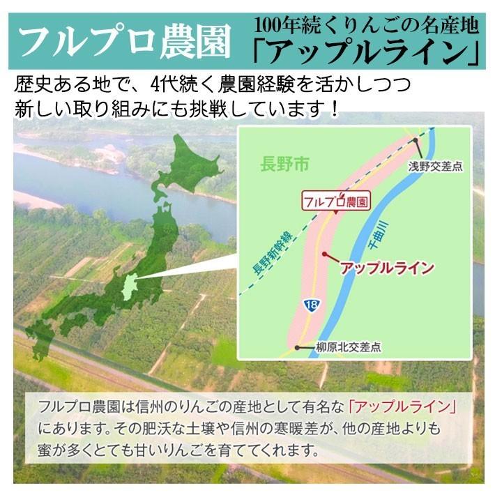 旬のおまかせ 葉とらずりんご 訳あり（無選別）約2.5kg 7〜16玉 食べ比べ 減農薬 長野県産 産地直送 送料無料 #NAX0B025