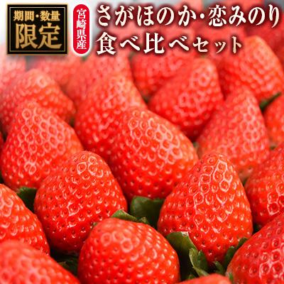 ふるさと納税 宮崎県 ◇宮崎県産いちご「さがほのか」「恋みのり」食べ比べセット