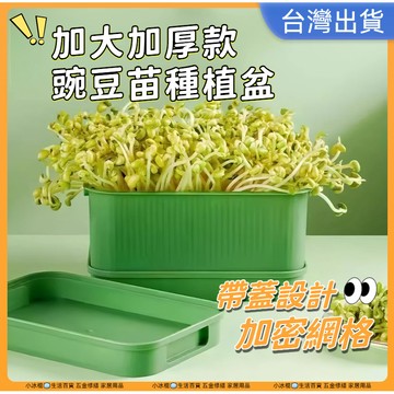 🔥超低價現貨🔥新款加大豆芽盆 髮芽無土栽培水培盆 芽苗菜 蔬菜髮芽 水耕蔬菜 豆苗種植 種菜盆 水耕栽培 水生植物