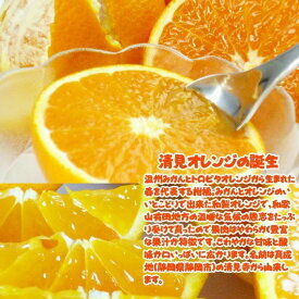 G7067_紀州有田産 清見 オレンジ 7.5kg