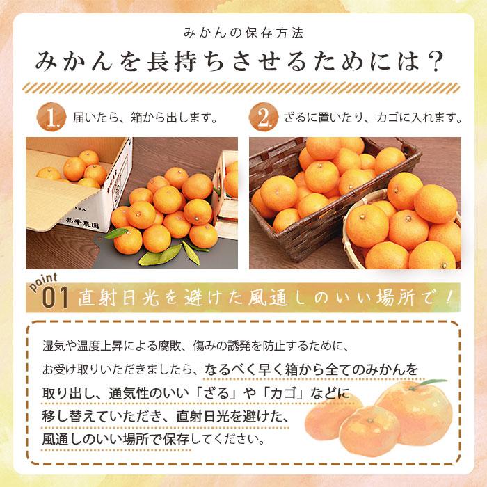 みかん 三ケ日 2kg ミカン 三ヶ日 mikan 高平農園 甘い 静岡産 青島 早生 直送 産地直送 小粒 フルーツ プレゼント お歳暮 ギフト お年賀 小玉 訳あり s mサイズ