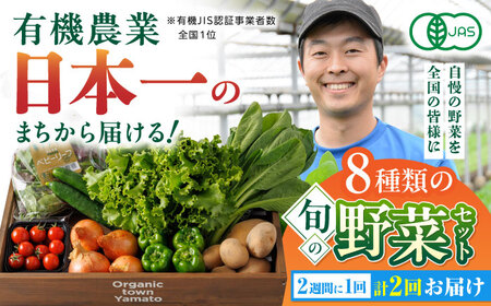 有機野菜 オーガニック 8種セット 詰め合わせ 野菜詰め合わせ 熊本県産有機野菜 山都町産有機野菜 産地直送 高原野菜 新鮮有機野菜 採れたて有機野菜 旬 有機野菜セット 有機野菜食べ比べ 九州産有機野菜 有機野菜 オーガニック[YAF015]