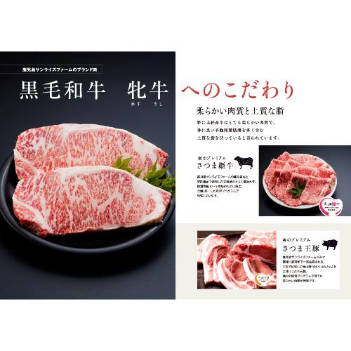 国産　牛肉　肉　カレー　鹿児島県産　さつま姫牛　ビーフカレーセット　200g×10食