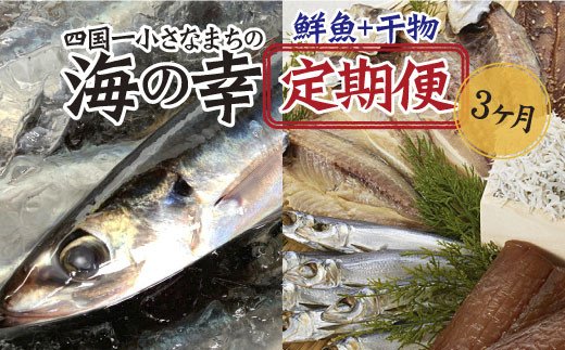 ～旬の朝どれ鮮魚と土佐の干物セット～ カネアリ水産の海の定期便3ヶ月 季節 四季 鮮魚 加工食品 干物 ちりめんじゃこ カツオ サバ 金目鯛 カンパチ 朝どれ 冷凍 冷蔵