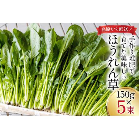 ふるさと納税 ほうれん草 150g×5束 長崎県島原市