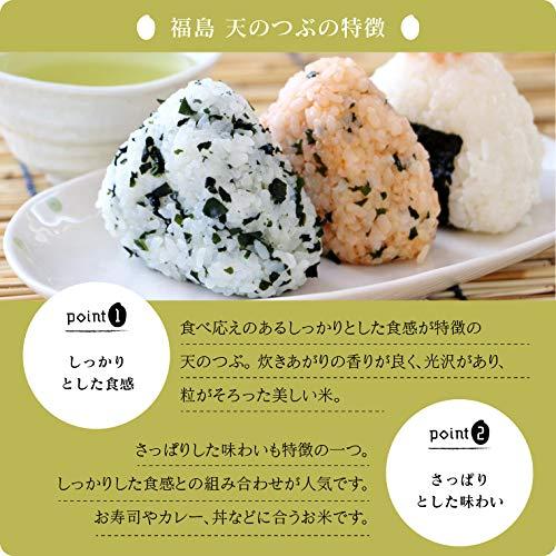 令和５年 福島県産天のつぶ 20kg（10kg×2）