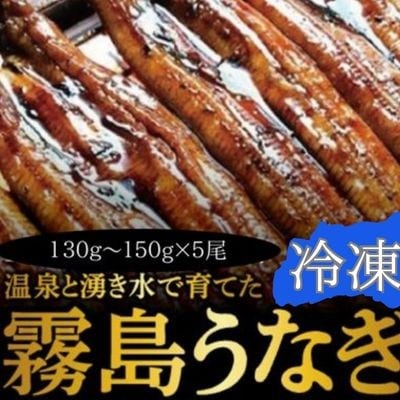 霧島市育ちのあの「うなぎ」130～150g×5尾　C-077-RT