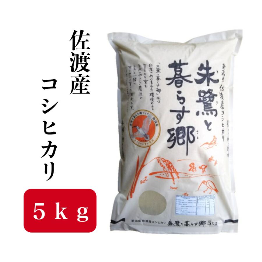 新米 精米 新潟県 佐渡産 コシヒカリ 朱鷺と暮らす郷 令和4年産 白米 米 コメ （5kg×1袋）