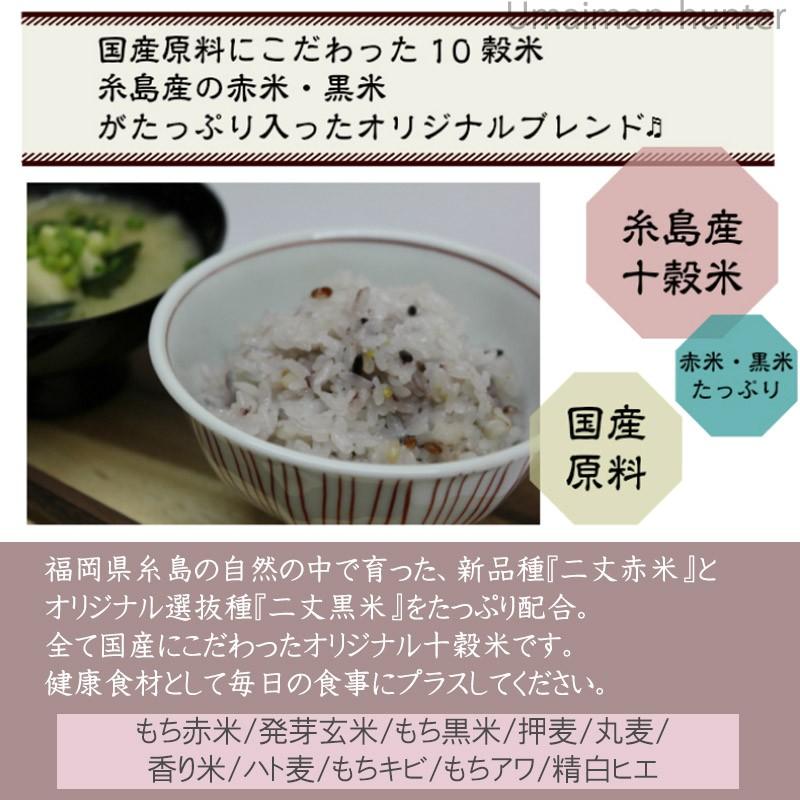 糸島産１０穀米 150g×1P カルナ 福岡県 人気 土産 二丈赤米 二丈黒米 オリジナル十穀米 健康食材