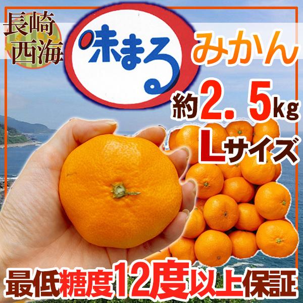 長崎県産　味まるみかん　Ｌサイズ　約2.5kg　赤秀