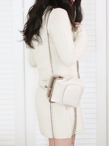Pound Frame Leather Bag