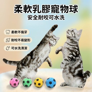 【台灣現貨】 4.5cm 寵物球 貓咪玩具 磨牙發泡足球 玩具球 互動寵物用品 寵物玩具 乳膠玩具
